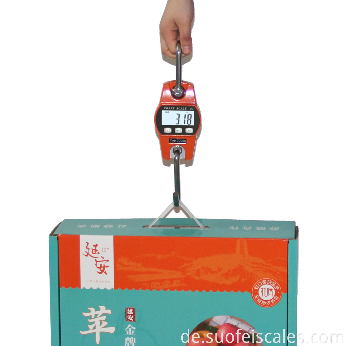 SF-916 OCS Mini Industrial Digital Crane Electronic Balance 300 kg Hangskala Hakenkran-Skala